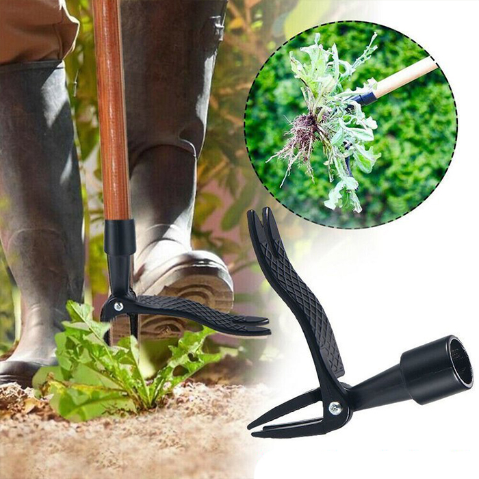 ClawWeeder, pripomoček za odstranjevanje plevela skupaj s koreninami - v stoje! - Image 8