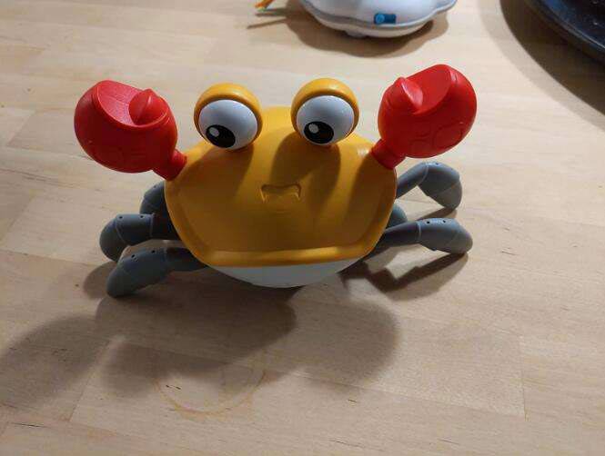 CrawlingCrab, interaktivna rakovica, ki se premakne, ko se ji približate