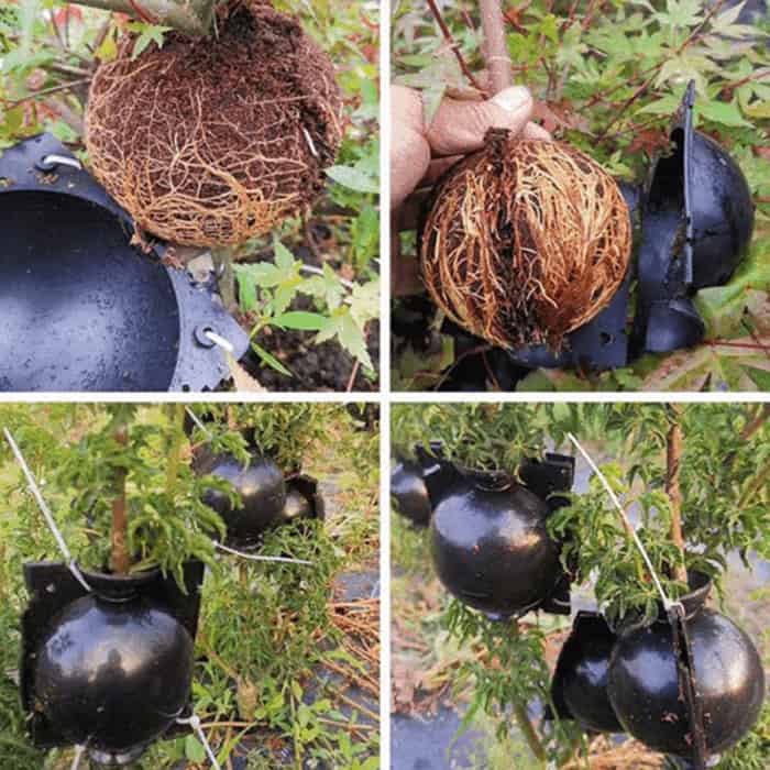 RootBall, pripomoček za uspešno kloniranje rastlin (2 kom.) - Image 5